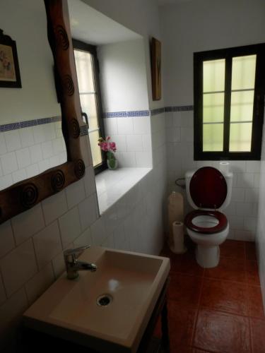 Casa La Caoba - image 14