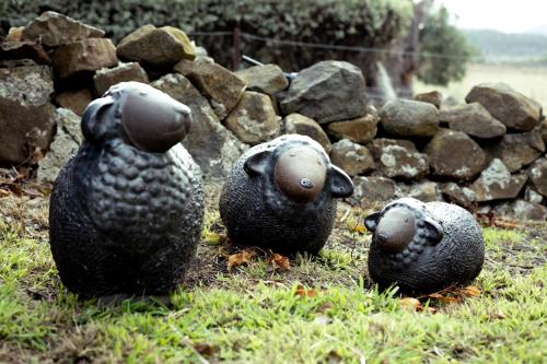 *New* Pip's Place at Lisdillon Vineyard