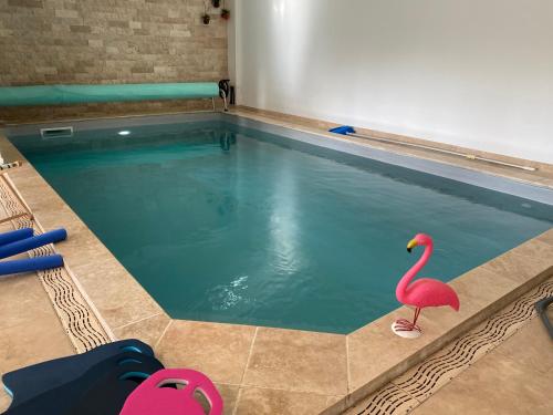 Les 4 Saisons Piscine intérieure - Concriers