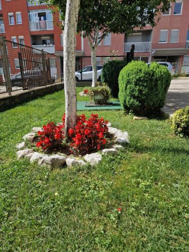 Guesthouse Irac - image 7