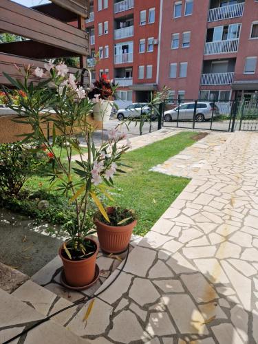 Guesthouse Irac - image 12