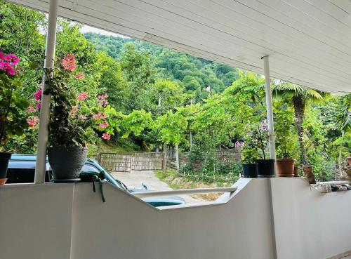 Agro Guest House Tsiskari in Machakhela in Κομπουλέτι