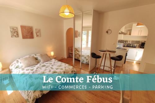 Le Comte Fébus - Focalimmo - Location saisonnière - Foix