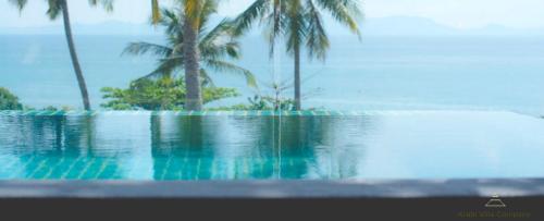 Pelican Luxury Apartments photo 2