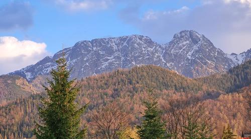 One-Bedroom Apartment with Mountain View image 7