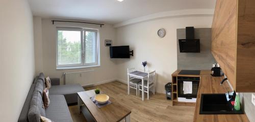 บริการและสิ่งอำนวยความสะดวก, Luxury Apartments STUD - VB in มาเรียนสเก้