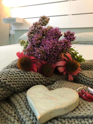  B&B MELLONI STREET in Dolo