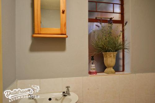Sonata, Dullstroom (foto 4)