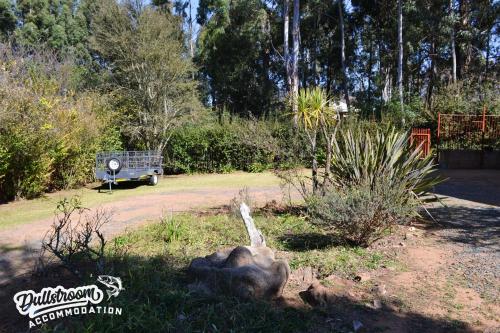 Sonata, Dullstroom (foto 5)