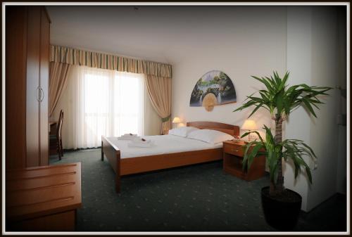 Family Room with Balcony and Sea View image 8