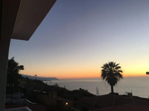 Casa Carolina, Tenerife