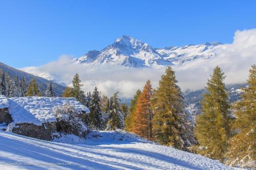 Les Balcons PROCHE PARC NATIONAL VANOISE appartements 2 pieces 8 pers