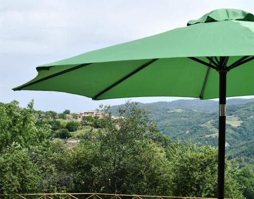 Agriturismo Il Loppo, your Home in the Woods