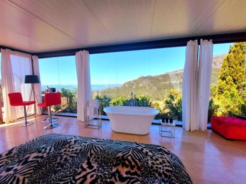 Stunning Glass Suite with private plunge pool - Tap to explore photos