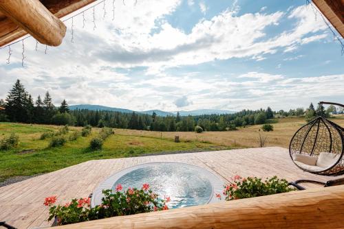 Peldbaseins, Rustic Chalet in Belis