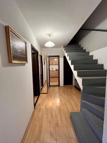 Apartments and rooms Villa Mačva - Banja Koviljača (Apartments and rooms Villa Macva - Banja Koviljaca) in Banja Koviljaca