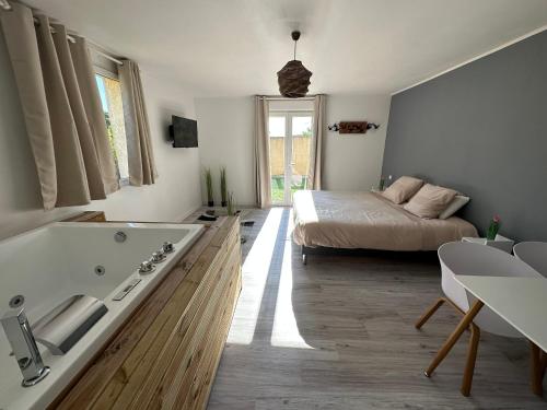 Studio SPA Balnéo - Jardin privé (Studio SPA Balneo - Jardin prive) in Maureilhan