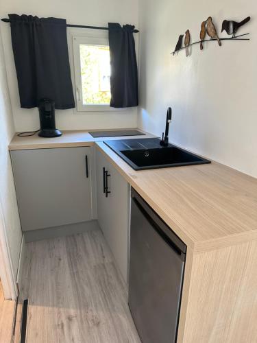 virtuve, Studio SPA Balnéo - Jardin privé (Studio SPA Balneo - Jardin prive) in Maureilhan