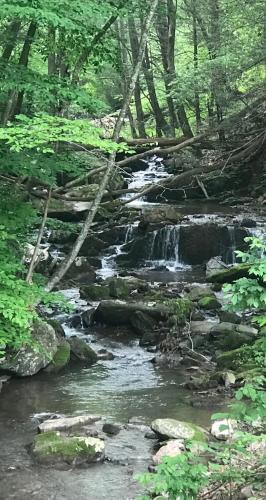 Creekside Cottage