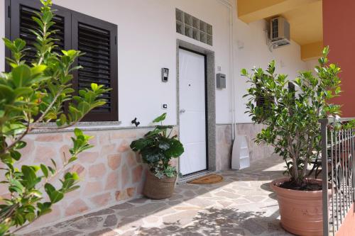 A casa di Angela B&B - Accommodation - Praia a Mare