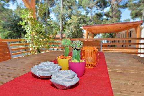 Sunny Home Soline - image 2