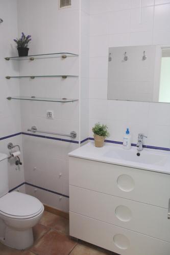 Centro. Nuevo Puerto Deportivo. Playas a 7 minutos.