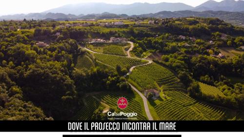 Villa del Poggio Prosecco Bike Hotel - San Pietro di Feletto