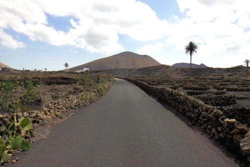 Finca El Oratorio - image 11