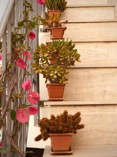 B&B Artas – Lecce, OK