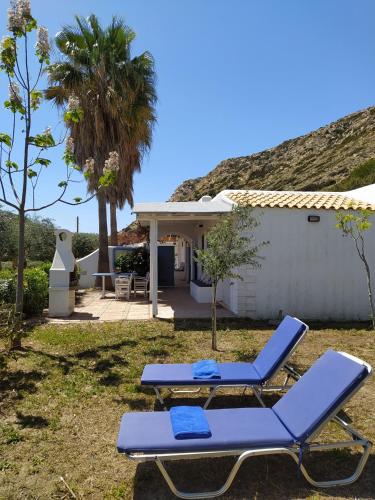 Valley Village - image 8