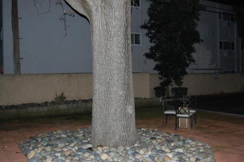 普莱森希尔酒店 普莱森希尔酒店