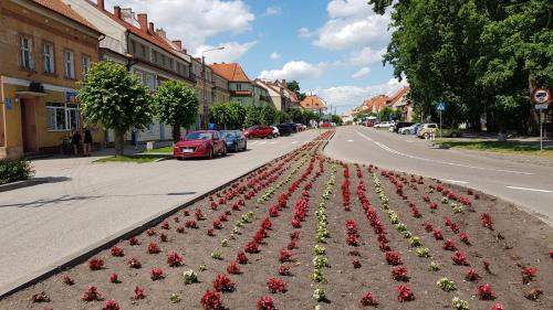 Błękitny Domek Błękitny Domek