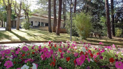 BALNEARIO DE RETORTILLO