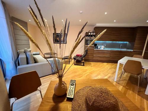 . Elijos apartamentai su terasa