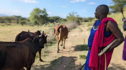 leruk Maasai safari camp