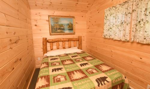 Lake George Diamond Cove Cottages Cabins & Hotel - image 4