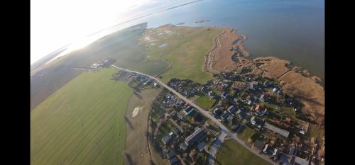 Ferienappartements am Saaler Bodden - Seemöwe