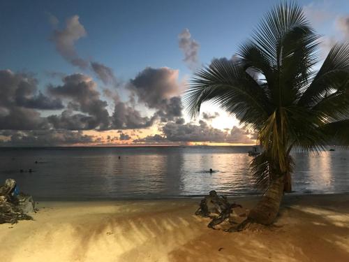 Facilities, Les pieds dans l'eau face au lagon - Le Bel Instant in Sainte Anne