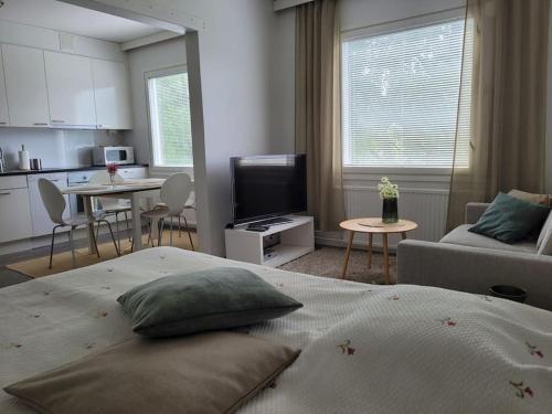 Wäiönkatu 3 yksiö - Apartment - Lappeenranta