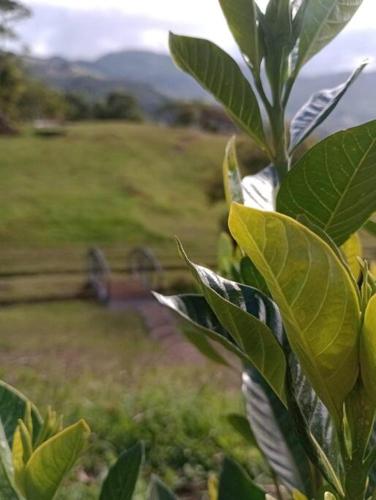 Finca La Gozadera in El Jardín