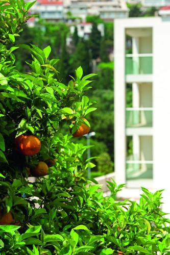 Dubrovnik Luxury Residence – L’Orangerie - image 4
