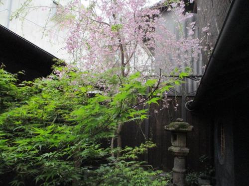 Takeya Kitano Honkan - image 5