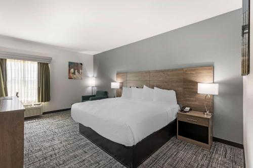 1 king bed
