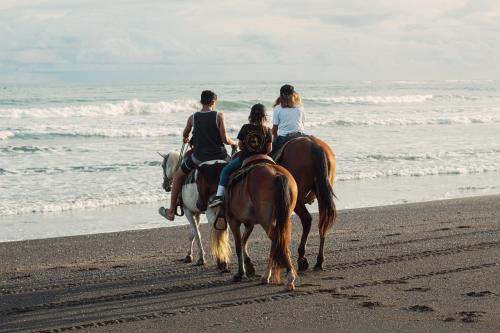 Hotel Playa Cambutal