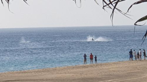 477467651 Villa Star of the Sea