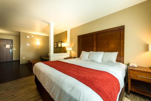 Comfort Inn & Suites Alamosa