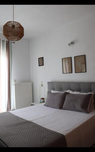 One-Bedroom Apartment room in Fiosal Apartments 1