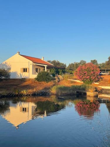 Monte do Belga gîte à louer Barranco do Bebedouro