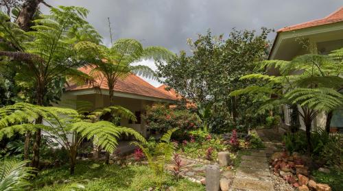 . Ara Garden Inn, Accommodation, Yoga studio & Spa