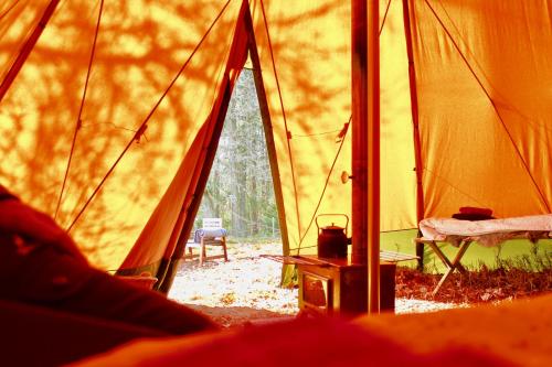 Wildlife camp In a Nordic tipi